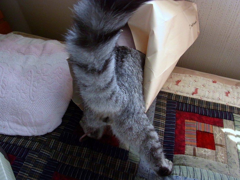 頭隠して尻隠さず