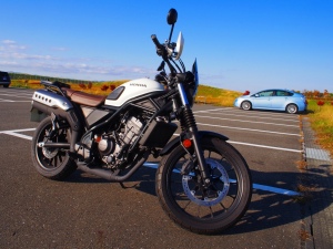 CL250